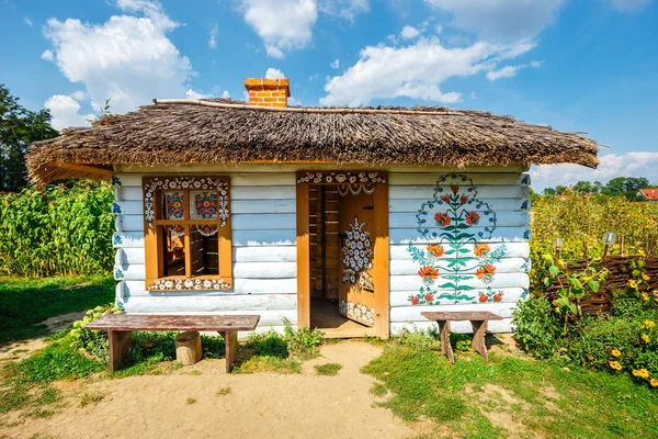 Zalipie Polsko Srpna 2018 Barevné Dům Květy Namalované Zdech Sluneční — Stock fotografie