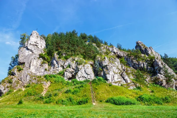 Sommarlandskap Bedkowska Valley Polen — Stockfoto