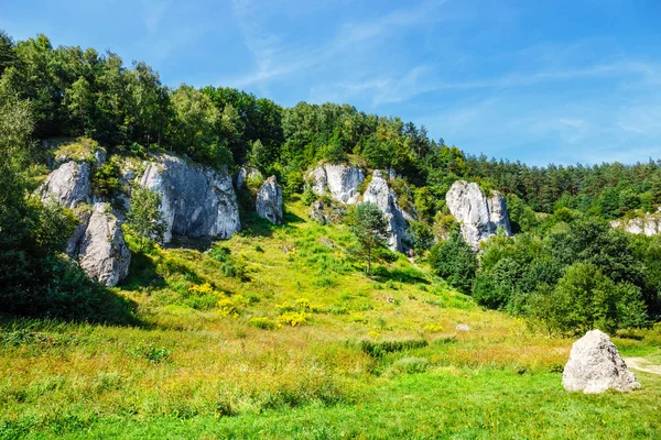 Polonya Bedkowska Vadisi Nde Yaz Manzara — Stok fotoğraf