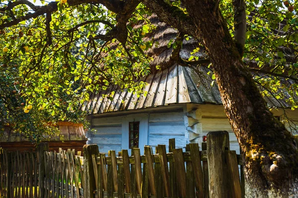 Antigua Casa Madera Con Techo Paja Arquitectura Rural Tradicional Polonia —  Fotos de Stock