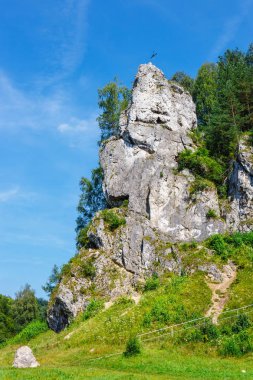 Polonya Bedkowska Vadisi'nde yaz manzara