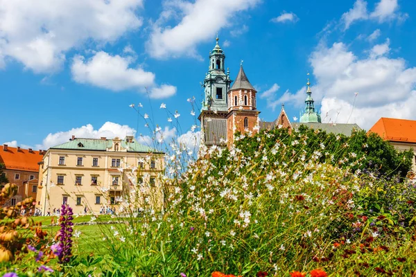 Krakow Polonya Ağustos 2018 Bilinmeyen Kişi Wawel Katedrali Wawel Kalesi — Stok fotoğraf