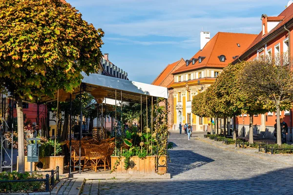 Wroclaw Polsko Říjen 2018 Ostrow Tumski Historické Čtvrti Wroclaw Polsko — Stock fotografie