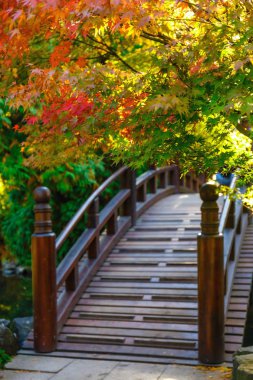 Güzel Japon bahçe ile sonbahar Bridge'de 