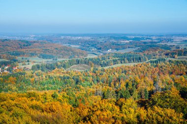 Sonbahar Orman, Kaşubyan bölge Gdansk Pomerania havadan görünümü