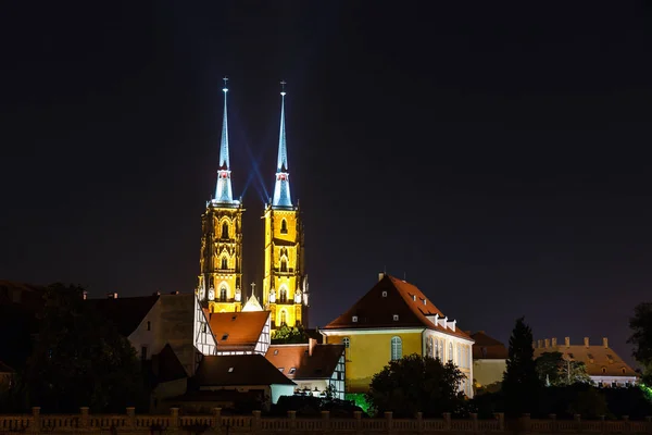 Gece Görünümü Katedrali Saint John Baptist Wroclaw Polonya — Stok fotoğraf