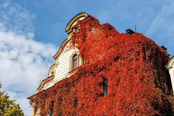 Castillo Moszna Palacio Histórico Situado Pueblo Moszna Alta Silesia Polonia —  Fotos de Stock