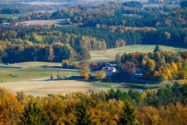 Letecký Pohled Podzimní Les Kašubština Regionu Gdaňské Pomořansko — Stock fotografie
