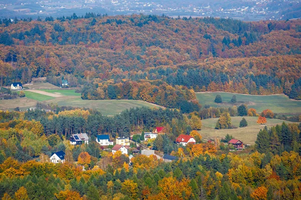 Letecký Pohled Podzimní Les Kašubština Regionu Gdaňské Pomořansko — Stock fotografie