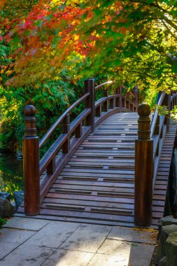 Güzel Japon bahçe ile sonbahar Bridge'de 