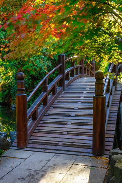 Beautiful japanese garden with bridge in autumn time 