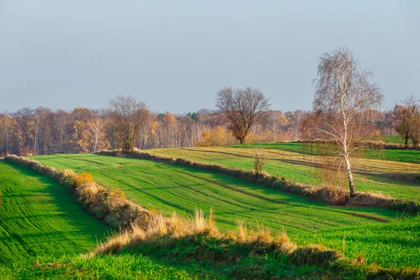 Campos Agrícolas Zona Rural Rural Pôr Sol Polónia — Fotografia de Stock
