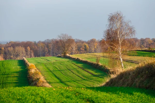 Mezőgazdasági Területek Vidéki Területen Naplemente Lengyelország — Stock Fotó