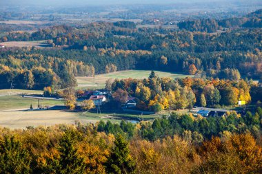 Sonbahar Orman, Kaşubyan bölge Gdansk Pomerania havadan görünümü