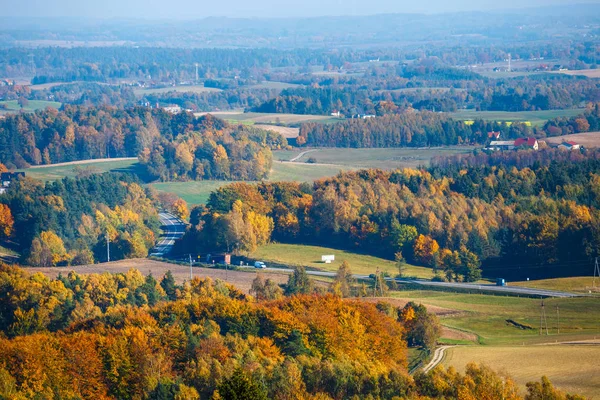 Aerial View Autumn Forest Kashubian Region Gdansk Pomerania — Stock Photo, Image