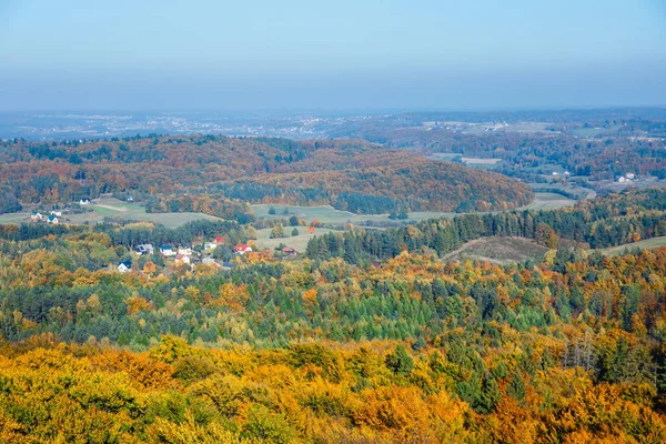 Letecký Pohled Podzimní Les Kašubština Regionu Gdaňské Pomořansko — Stock fotografie