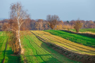 gün batımında, Polonya kırsal kırsal alanda tarım alanları