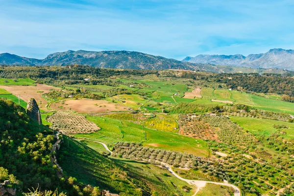 Hermosa Vista Del Valle Verde Ronda España — Foto de Stock
