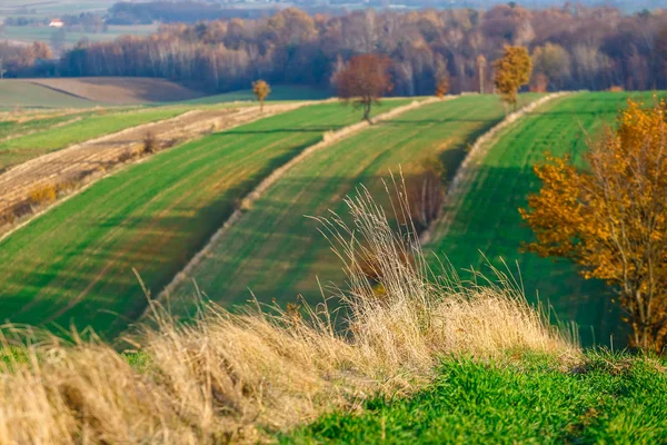 Gün Batımında Polonya Kırsal Kırsal Alanda Tarım Alanları — Stok fotoğraf