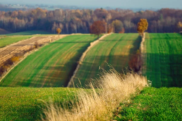 Agricultural Fields Rural Countryside Area Sunset Poland — Stock Photo, Image