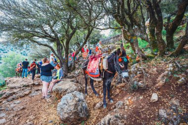 Crete, Lassithi, 08 Haziran 2017: Eşek Zeus Mağarası'na (Diktaion Andron) - Lassithi, Girit, Yunanistan dağ yolu üzerinde duruyor