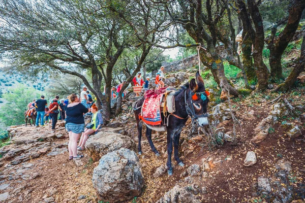 Kreta Lassithi Juni 2017 Donkey Staat Het Bergpad Zeus Grot — Stockfoto