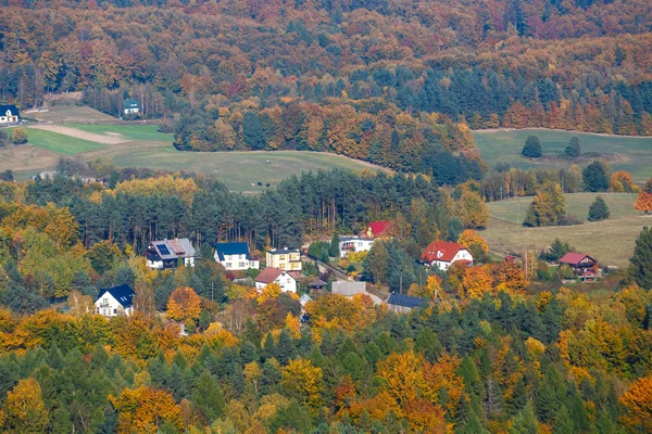 Letecký Pohled Podzimní Les Kašubština Regionu Gdaňské Pomořansko — Stock fotografie