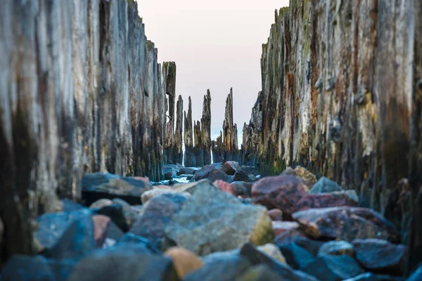 Deniz Mavi Saatte Güzel Sakin Günbatımı Denize — Stok fotoğraf