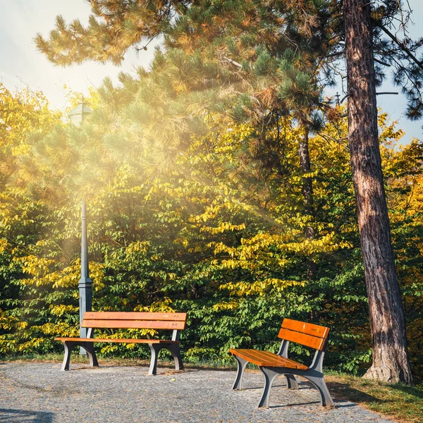 parlak güneş ağaçların arasından parlıyor ile Sonbahar Park iki tezgah