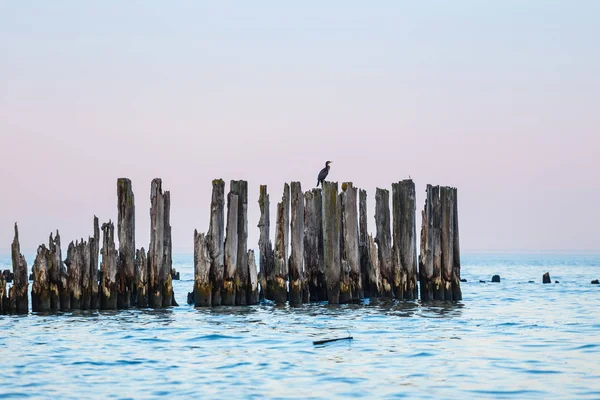 Blue Hour Sea Beautiful Tranquil Sunset Sea — Stock Photo, Image