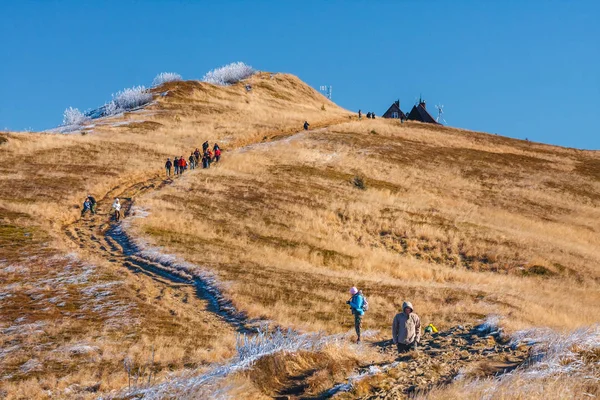 波兰韦特利纳 2011年11月12日 一群游客在波兰比斯茨卡底山脉的 Polonina Wetlina 徒步旅行 — 图库照片
