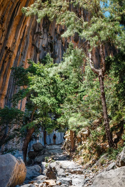 Vandringsled Genom Samaria Gorge Centrala Kreta — Stockfoto