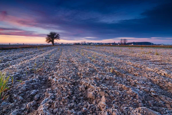 Hermoso Amanecer Sobre Campo Paisaje Rural —  Fotos de Stock