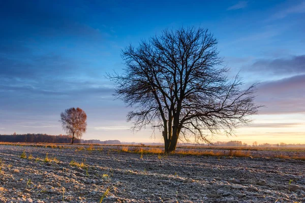 Hermoso Amanecer Sobre Campo Paisaje Rural —  Fotos de Stock