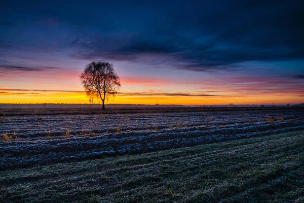 Schöner Sonnenaufgang Über Dem Feld Ländliche Landschaft — Stockfoto