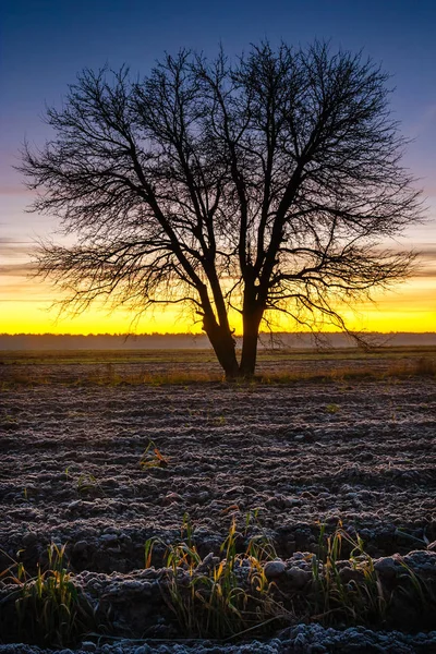 Beautiful sunrise over the field, countryside landscape — Stock Photo, Image