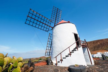 Mavi gökyüzü arka bahçesinde kaktüs, Guatiza Köyü, Lanzarote, Kanarya Adaları yel değirmeni