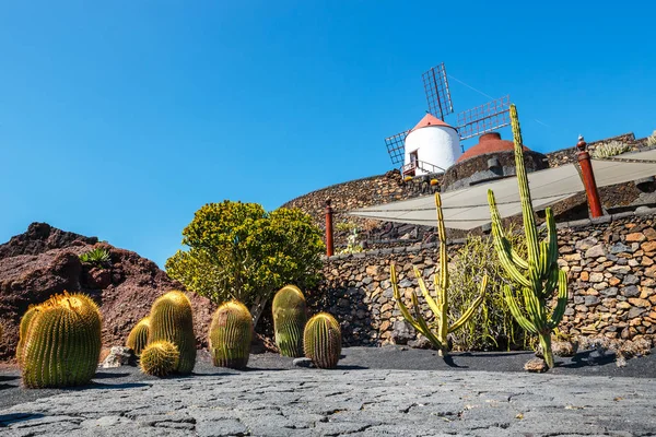 Väderkvarn på blå himmel bakgrund i kaktusträdgård, Guatiza byn, Lanzarote, Kanarieöarna — Stockfoto