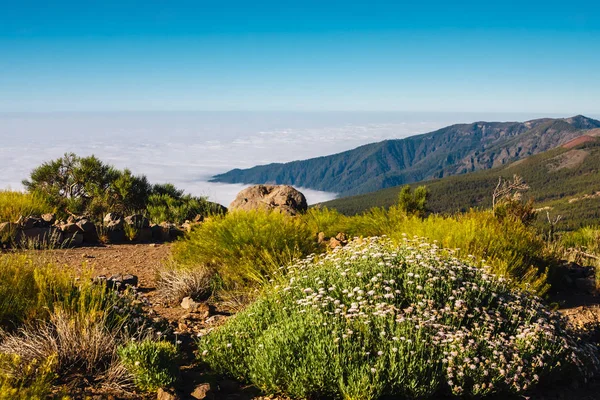 El teide volcano in the canary islands with a blue sky in the background, Tenerife, Spain — Stock Photo, Image