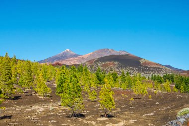 Arka planda mavi bir gökyüzü ile kanarya adalarında El teide yanardağ, Tenerife, İspanya
