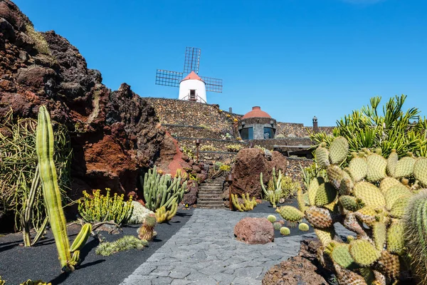 Molino de viento sobre fondo de cielo azul en jardín de cactus, pueblo de Guatiza, Lanzarote, Islas Canarias — Foto de Stock