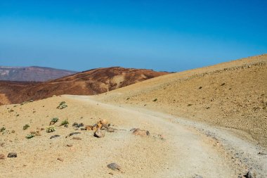 kumlu Montana Blanca doğru zirveye yürüyüş yolu 