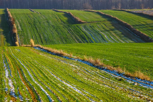 Obdělávaná Zemědělská Pole Jako Abstraktní Vzor Při Západu Slunce Barevná — Stock fotografie