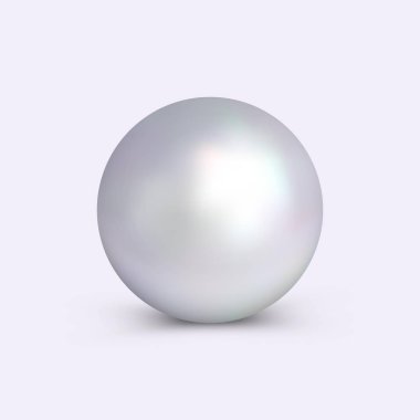 Vector realistic pearl. clipart