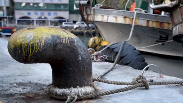 Squid Fiskebåt Dockad Ulleungdo Dodong Port Sydkorea — Stockvideo