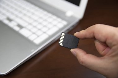 Kişisel dizüstü bilgisayara Bir Sd medya kartı takmak insan eli.