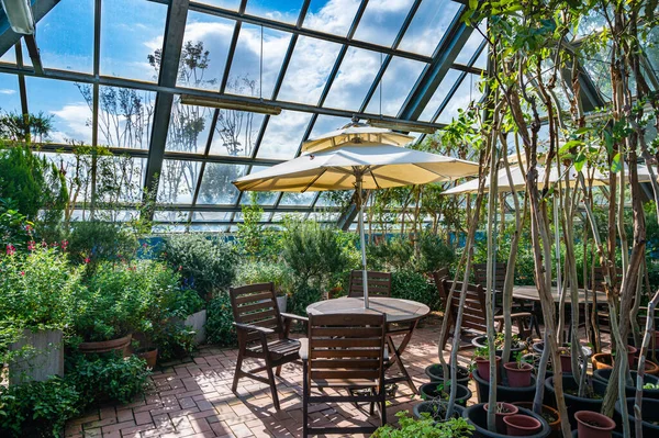 A view of the conservatory with bright sunlight and chairs. — Stock Photo, Image