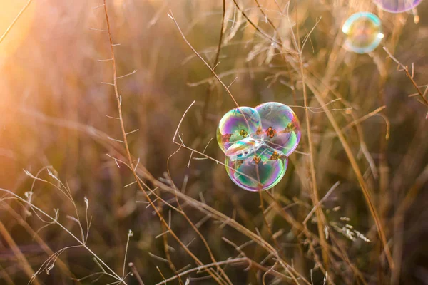 Beautiful natural background with soap bubbles. Autumn vibes.