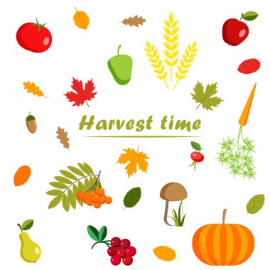 Geleneksel çiftlik hasat ayarla, vektör ele çekin illüstrasyon 