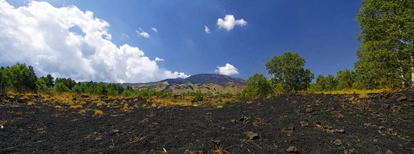 Paisaje Del Etna Con Cráteres Volcánicos Sicilia Italia —  Fotos de Stock